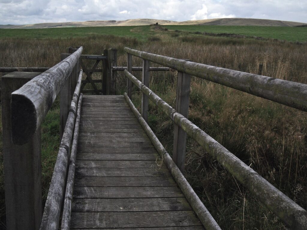 A wooden bridge in a misty forest, reimagined as a homecoming rather than a bridge in Ad Unum Energy Healing