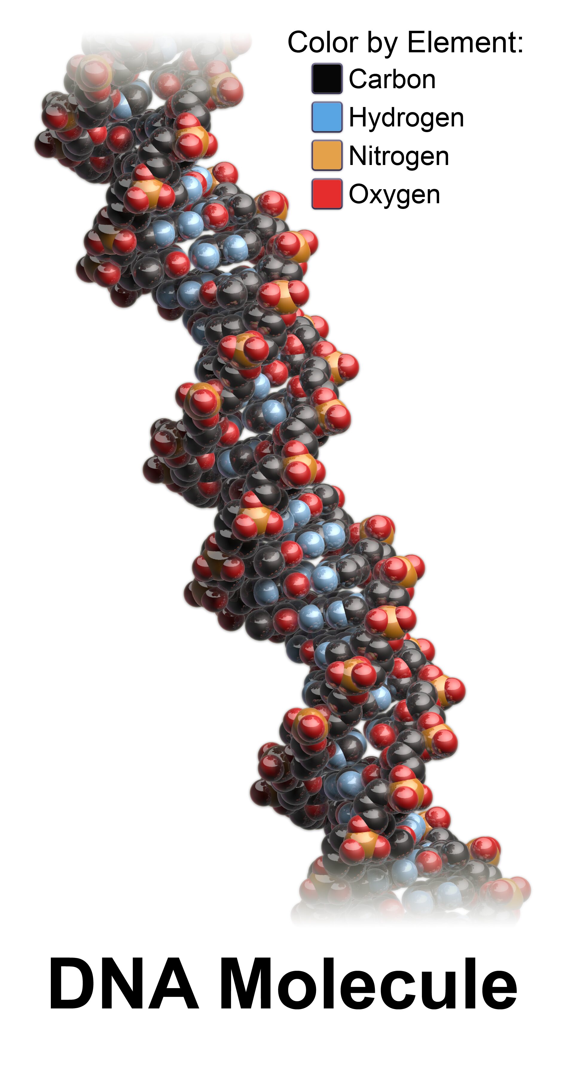 Ad Unum Energy Healing: Coherence, “Frequencies,” and Epigenetics — Honestly