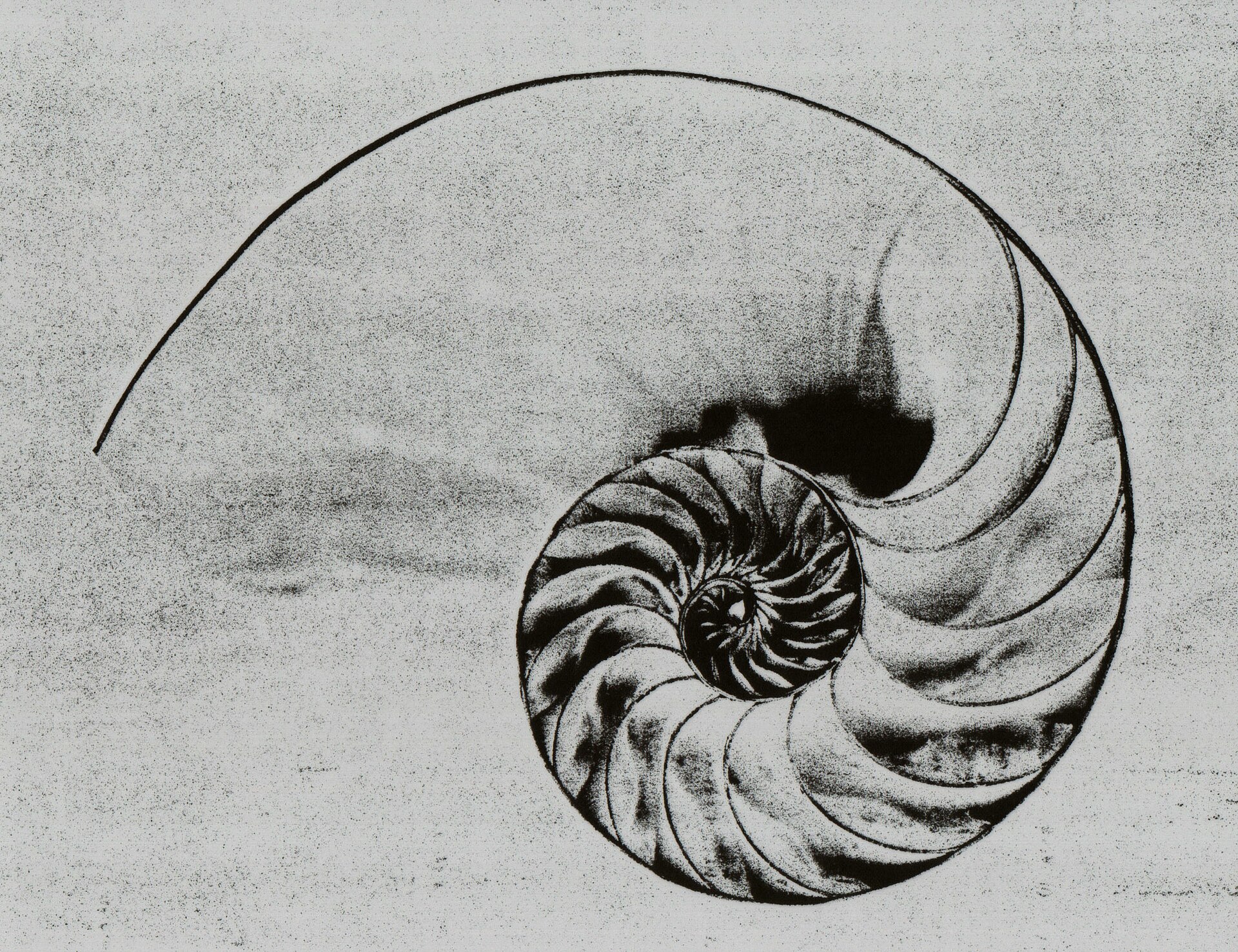 Ad Unum Energy Healing and the Implicit Order: From Entropy to Inner Coherence