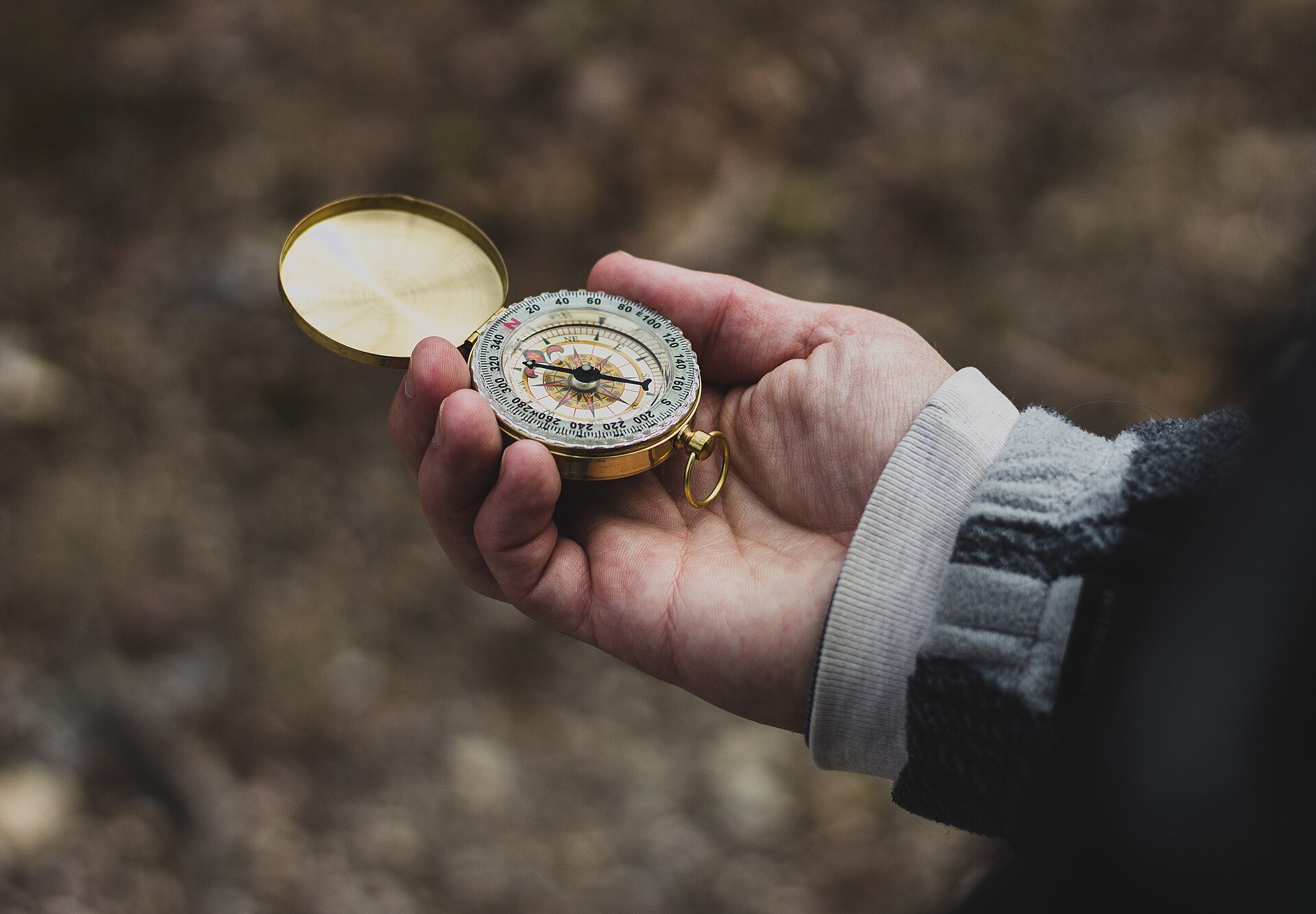 How to Choose a Serious Energy Practitioner: Green Flags, Red Flags, and Ad Unum