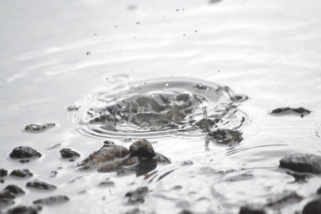 Concentric ripples spreading from a single water drop — a metaphor for how expectation and the observer shape an entire field.