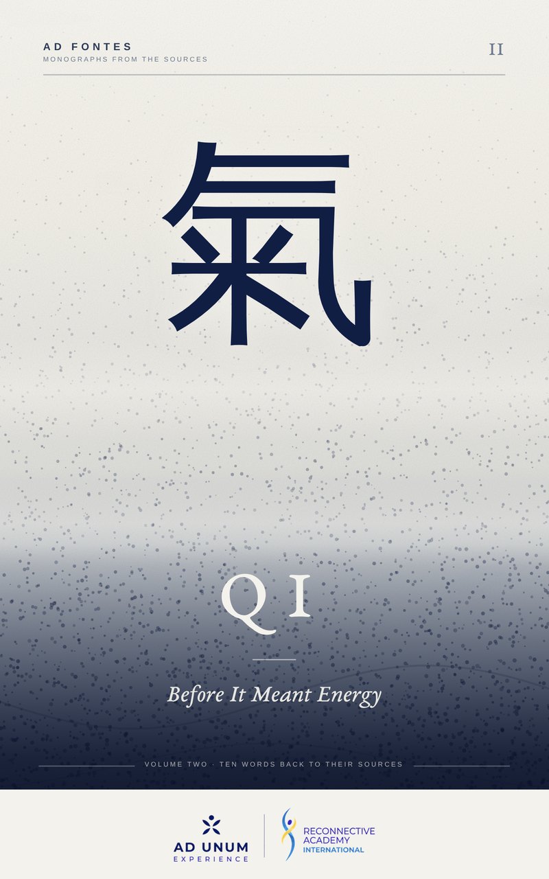 Cover of Qi