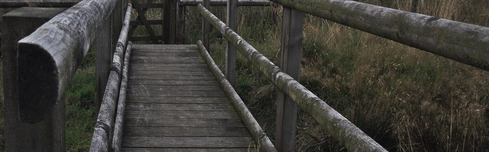 A wooden bridge in a misty forest, reimagined as a homecoming rather than a bridge in Ad Unum Energy Healing