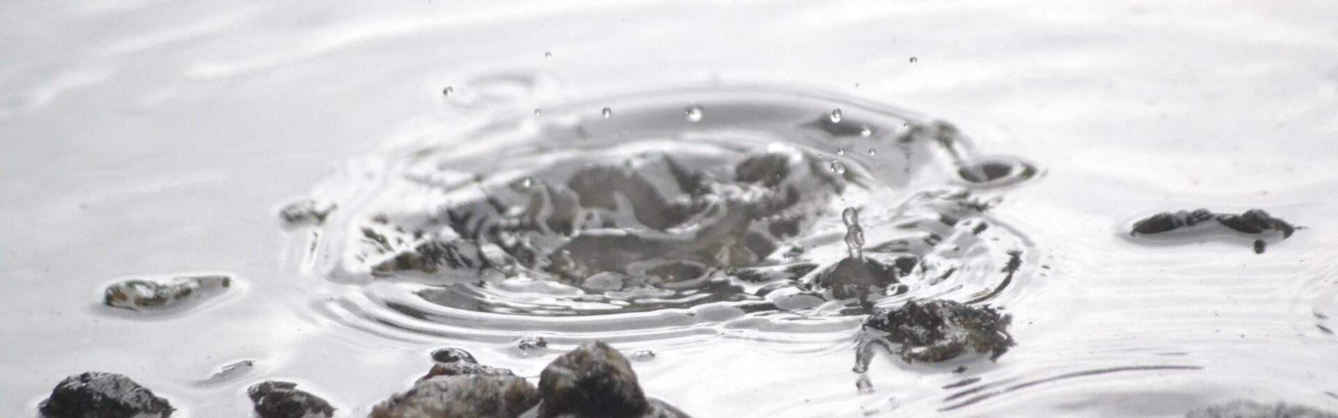 Concentric ripples spreading from a single water drop — a metaphor for how expectation and the observer shape an entire field.
