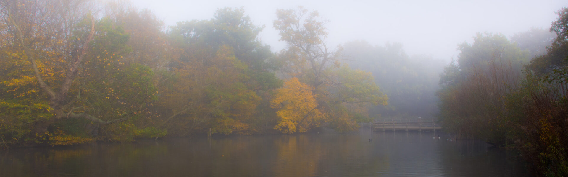 Mist rising from a still lake at dawn, evoking interoception and intuition — the body registering a signal before the mind names it